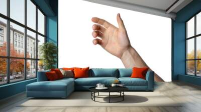 gesture of the hand for holding smartphone or bottle Wall mural