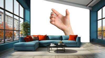 gesture of the hand for holding smartphone or bottle Wall mural