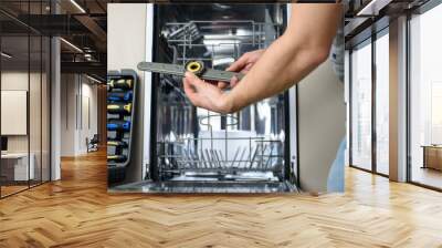 handyman repairs dishwasher Wall mural