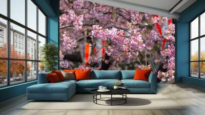 Sakura (Cherry Blossom)  blooming in spring around Ueno Park in Tokyo , Japan. Wall mural