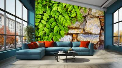 Ancient, plants and stone wall with green growth on building exterior for civilization or history. Background, summer and wallpaper with creeper growing on rock texture surface in medieval garden Wall mural