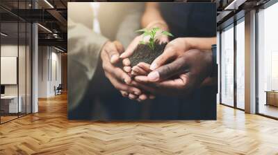 Business, people and hands with sprout in soil for sustainability, eco friendly investment and earth day. Growth nurture, plants support and group with charity project for environment responsibility Wall mural