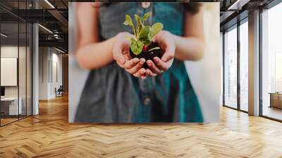 Child, plant or soil in hands with growth for sustainability, development of eco friendly environment or carbon footprint. Learning, sand closeup and kid with leaf growing in dirt, garden or nature Wall mural