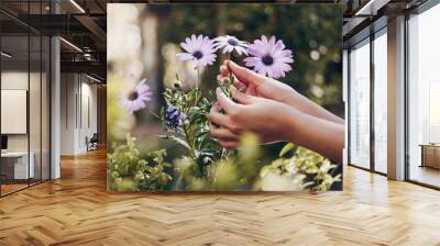 Daisy flowers, hands and nature in outdoor garden for zen, calm and aromatherapy plants. Landscaping, sustainability and female person with aroma for anxiety, stress and a peaceful mind with bokeh Wall mural