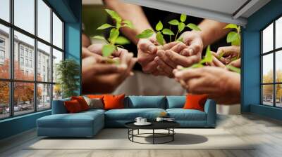 Hands, plants and grow with people or team, business and eco friendly for earth day and collaboration for growth. Investment, environment and community service, nurture or agro for sustainability Wall mural