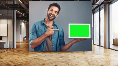 Happy man, tablet and pointing to green screen for advertising against a grey studio background. Portrait of male person smiling and showing technology display, chromakey or mockup for advertisement Wall mural