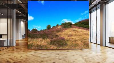 Landscape, grass and trees in nature with blue sky, hill and meadow for field, hiking and travel. Park, tourism and reserve in Denmark, holiday and sustainability with conservation and biodiversity Wall mural