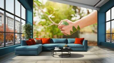 Nature, partnership and shaking hands with tree for ecology, sustainability or help on earth day outdoor in summer. Leaf, person and handshake with plant for growth, environment or agreement closeup Wall mural