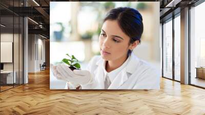 Scientist, woman and natural plant for research, innovation or botany in medical laboratory. Science professional, organic and experiment with leaf soil for ecology, sustainability and eco friendly Wall mural