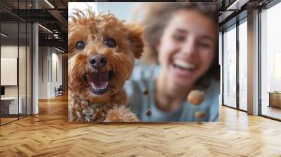 A person with a joyful expression, playing with a pet dog and throwing a ball with laughter and happiness against a white backdrop. Wall mural