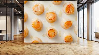 Cooked seared scallop isolated on white background with copy space. Scallops arranged in regular row pattern. Epicure sea food banner. Wall mural