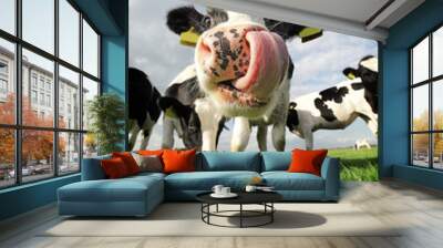 Funny cow Wall mural