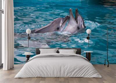 two dolphins swimming together Wall mural