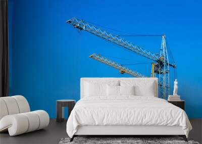 Two cranes against the blue sky. Wall mural