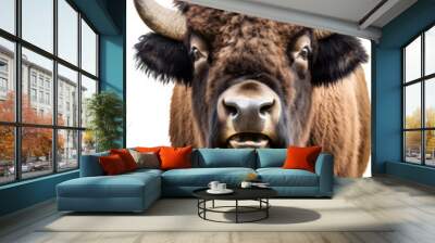 close up of a bison isolated on a transparent background Wall mural