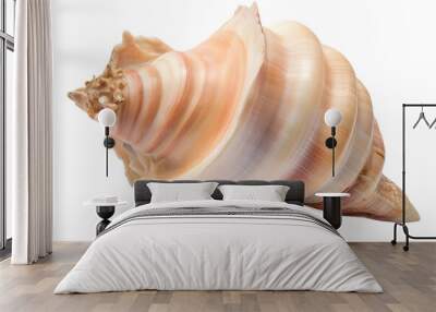 conch shell isolated on transparent background made with generative ai Wall mural