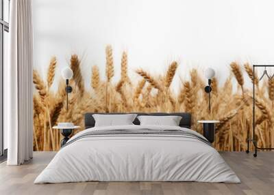 crop field of wheat as a border frame isolated on a transparent background Wall mural