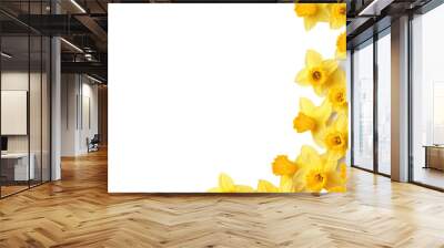 delightful daffodil petals as a frame border, isolated with negative space for layouts Wall mural