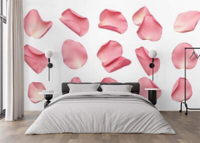 elegant collection of soft pink flower petals isolated on a transparent background, generative ai  Wall mural