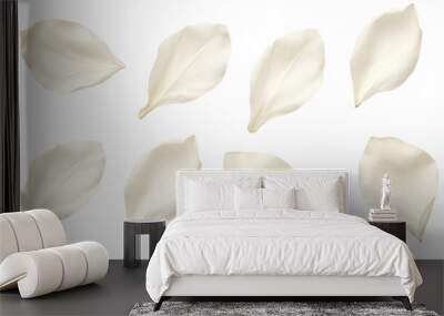 elegant collection of soft white flower petals isolated on a transparent background, generative ai  Wall mural