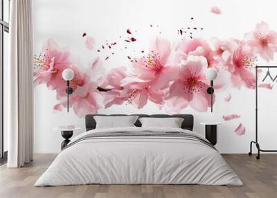 enchanting cherry blossom petals isolated on a transparent background for design layouts Wall mural