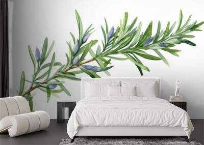 rosemary in watercolor style, isolated on a transparent background for design layouts Wall mural