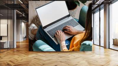 Young woman using laptop screen blank, mock up, work home Wall mural