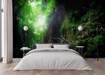 Fantasy mystical tropical mossy forest with amazing jungle plants and flowers. Nature landscape for mysterious background. Indonesia Wall mural