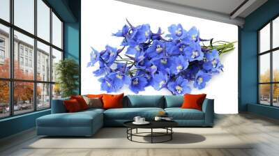 delphinium on a white background Wall mural