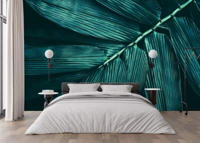 bamboo leaves texture, dark abstract background Wall mural