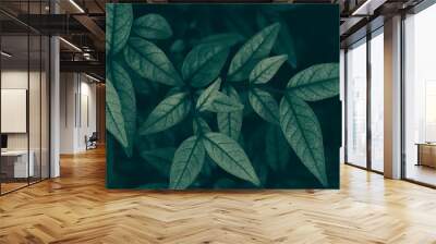 closeup of leaves nature background Wall mural