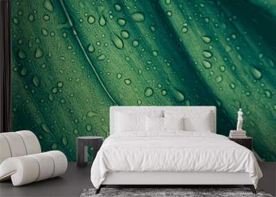 water dtops on green leaf, purity natural background Wall mural