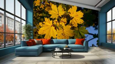 Autumn leaves 2 Wall mural