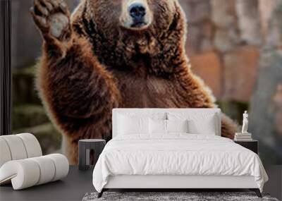 Big bear greeting Wall mural