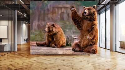 couple of bears sitting waving Wall mural