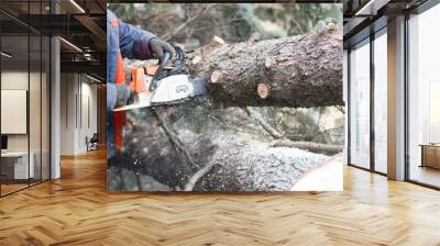 man sawing a tree Wall mural