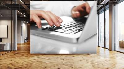 businessman working on laptop Wall mural