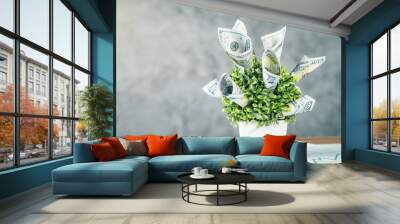 Dollar plant on diagrams Wall mural