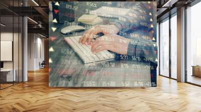 Multi exposure of financial graph with man works in office on background. Concept of analysis. Wall mural