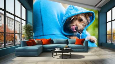 Furry dog looking over the shoulder of his owner in matching blue hoodies outdoors in bright green park background Wall mural