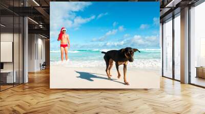 Man wearing Santa hat and matching Christmas red swimming briefs standing with a friendly dog on the shore of a tropical beach Wall mural