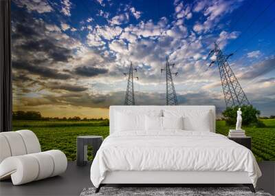 Power lines in the green field in sunset Wall mural