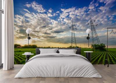 Power lines in the green field in sunset Wall mural