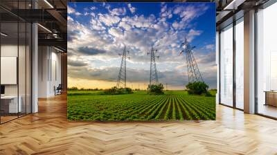 Power lines in the green field in sunset Wall mural