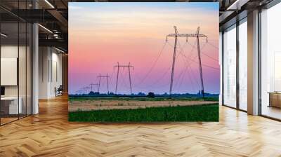 Power transmission lines in the green field in sunset	 Wall mural