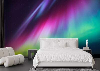 northern lights (aurora borealis) in the sky Wall mural