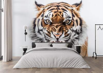 Angry Tiger Face Wall mural