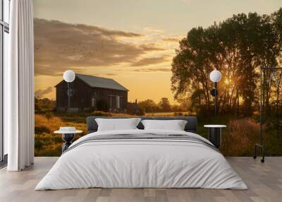 barn at sunrise in autumn Wall mural