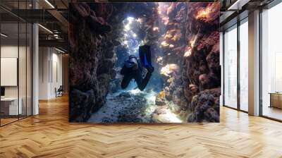 Divers are diving in a coral canyon or cave in the red sea in egypt
 Wall mural