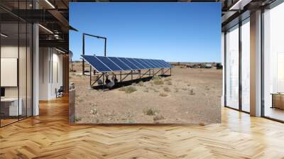 Geese sheltering on the shade cast by solar panel;s used for rewable energy on a farm in Bushmanland, South Africa Wall mural